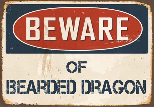 Beware bearded dragon metal - of,