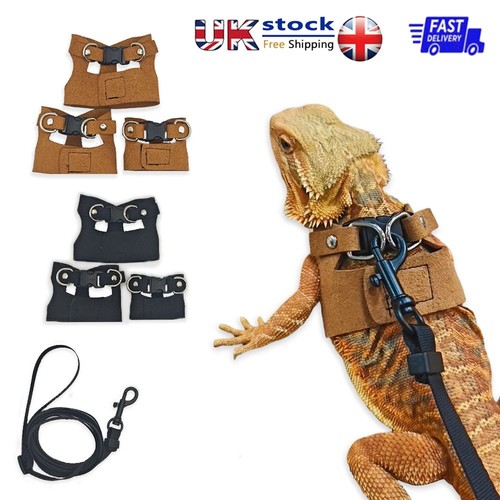 Bearded dragon harness - bearded,