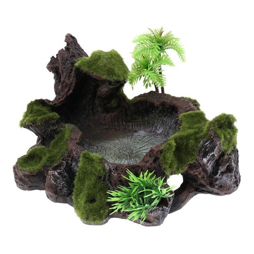 Reptile plant decorative water - reptile,