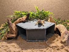 XL Large Personalised Laser