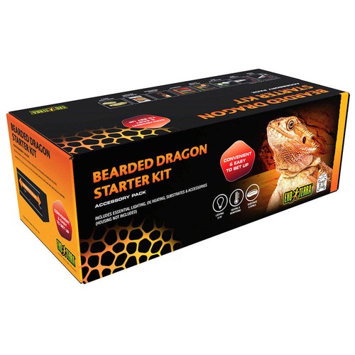 Exo terra bearded dragon - terra,