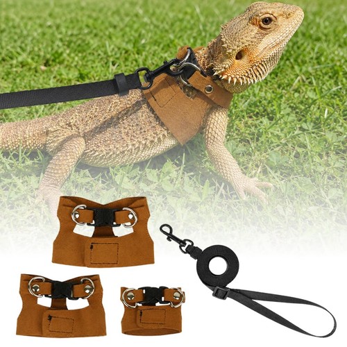 Bearded dragon harness - 2m,