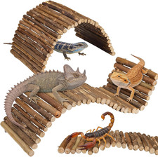 Bearded Dragon Accessories, 2