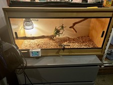 Lizard Terrarium Ideal for