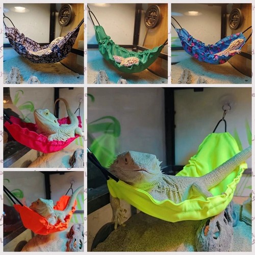 Reptology lizard hammock - lizard, with