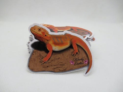 Bearded dragon sticker - dragon,