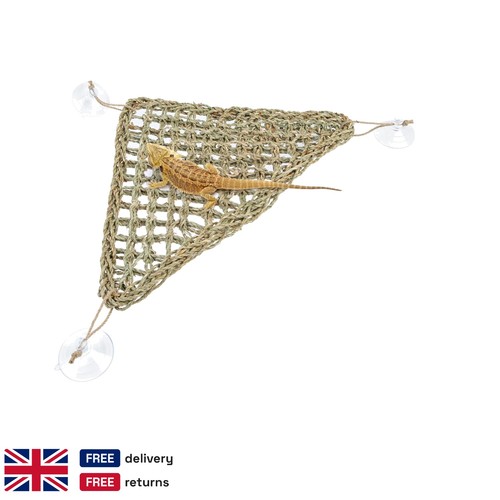 Bearded dragon hammock - dragon,