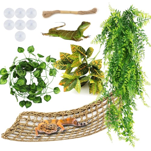 Eco friendly bearded dragon - bearded,