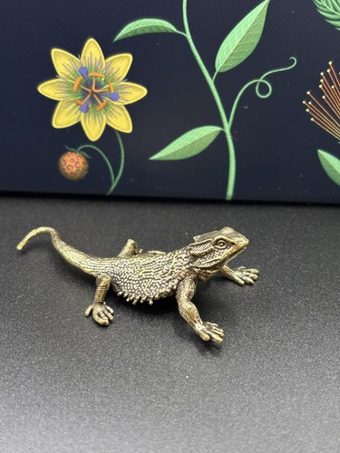 Brass bearded dragon lovely - bearded,