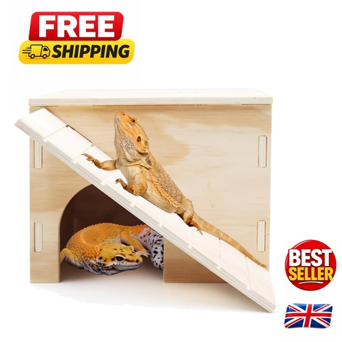 Large reptile habitat - large,