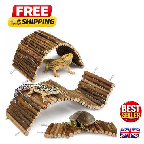 Pack bendable wooden reptile - 2-pack,