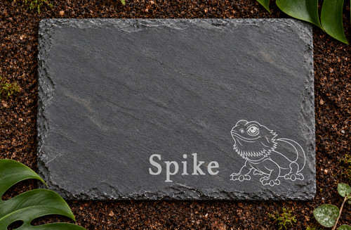 Personalised bearded dragon - bearded,