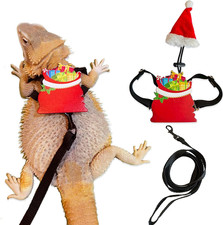 Christmas Bearded Dragon Santa