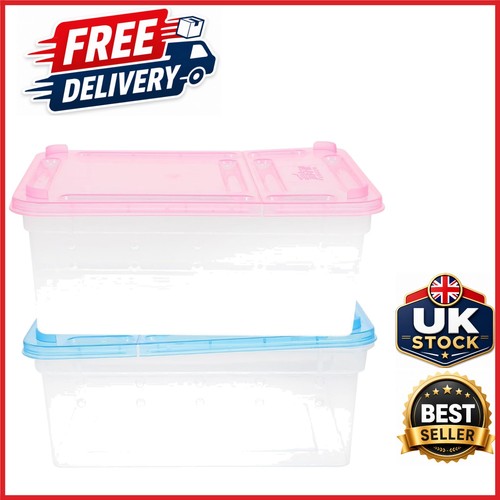 Pack reptile feeding - 2-pack,