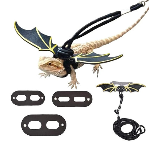 Bearded dragon harness - dragon, set