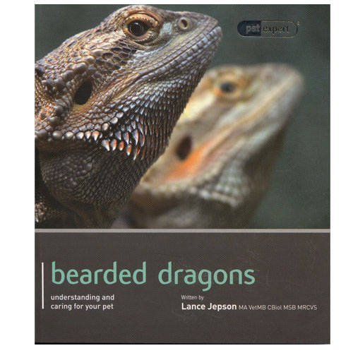 Bearded dragon pet expert - -,