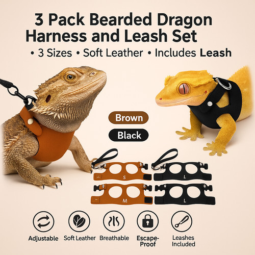 Bearded dragon harness leash - harness, 3