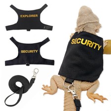 Bearded Dragon Harness And