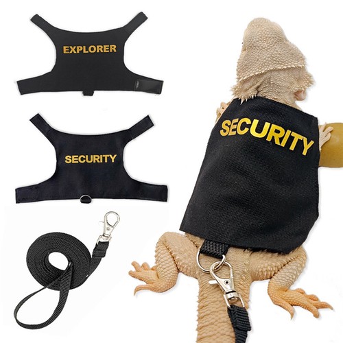 Bearded dragon harness and - dragon,