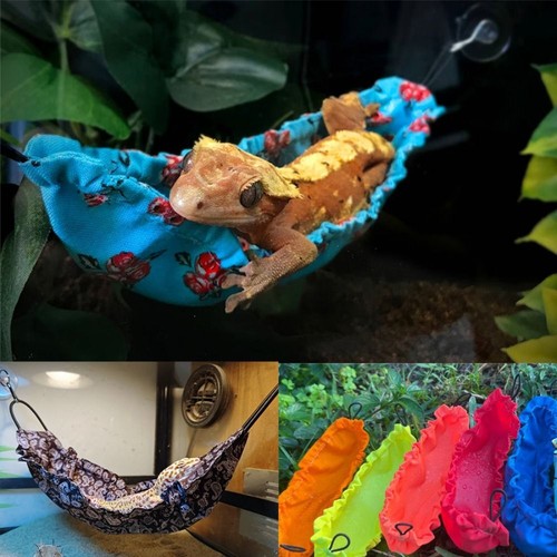 Reptology lizard hammock with - reptology,