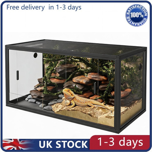 122 51cm reptile - reptile, vivarium