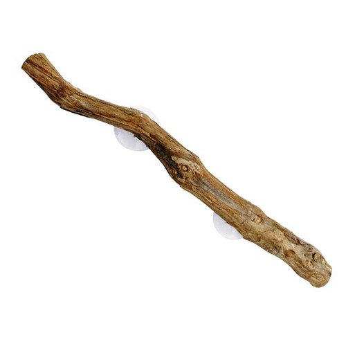 Interesting reptile toy - interesting,