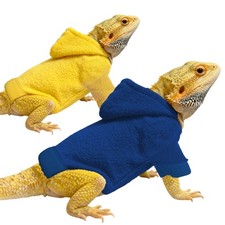 Bearded Dragon And Small Pets