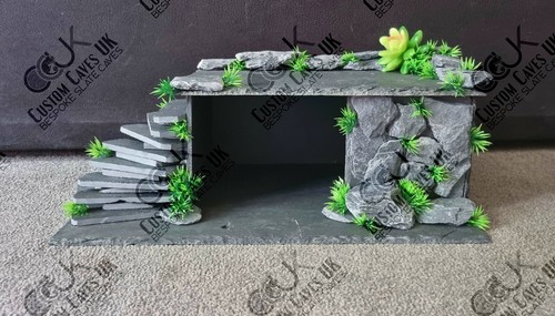 Bearded dragon slate hide and - dragon,