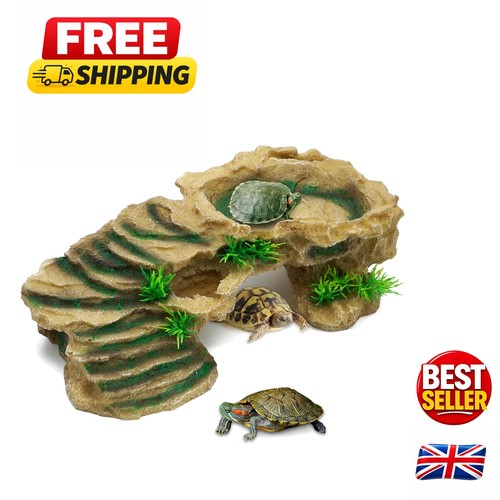 Naturalistic resin reptile - naturalistic,