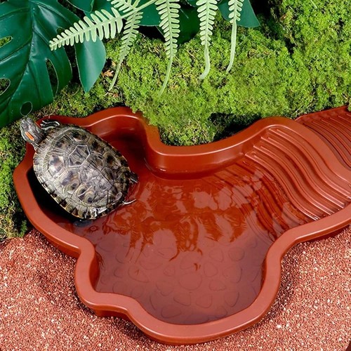 Reptile bathing pool water - pool,