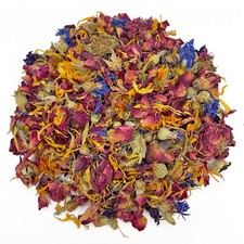 Reptile World Premium Dried