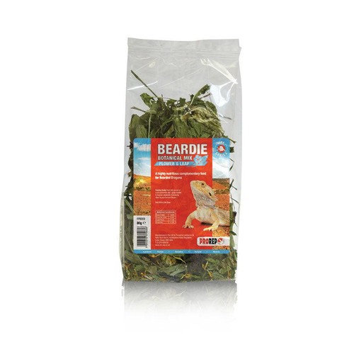 Prorep bearded dragon - bearded,