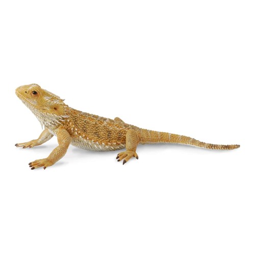 Collecta bearded dragon - bearded,