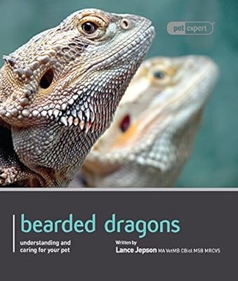 Bearded dragon pet expert - dragon,