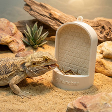 Personalised Reptile Feeder