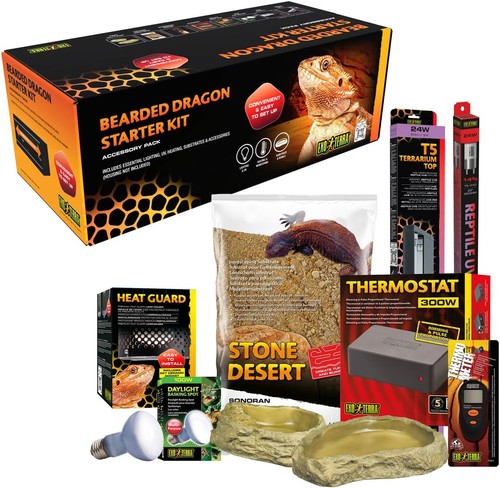 Exo terra bearded dragon - terra,