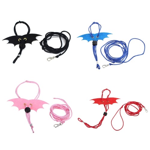 Lizard leash set bearded - lizard,