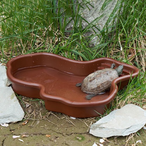Reptile bathing pool - pool, large
