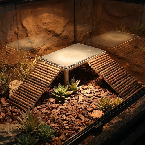 Bearded dragon basking table - dragon,