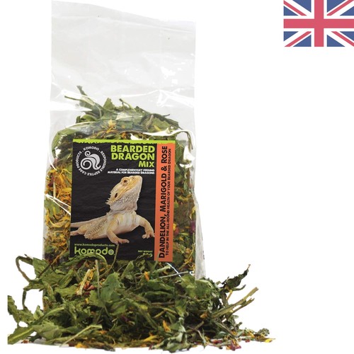 Natural bearded dragon food - food,
