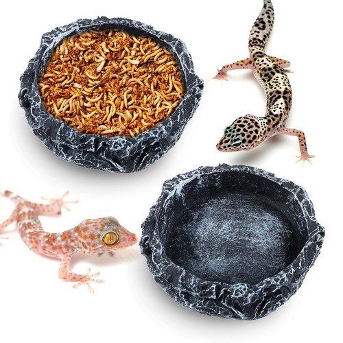 Pack reptile water bowl - 2,