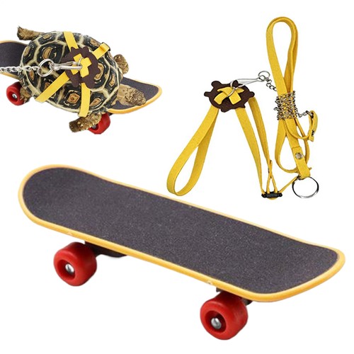 Tortoise rope and - and, skateboard