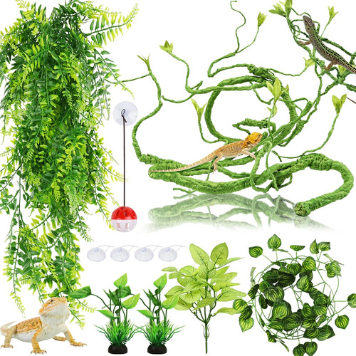 Bearded dragon terrarium - dragon,