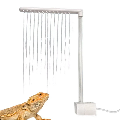 Bearded dragon bath - bath,