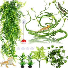 Bearded Dragon Reptile Vines