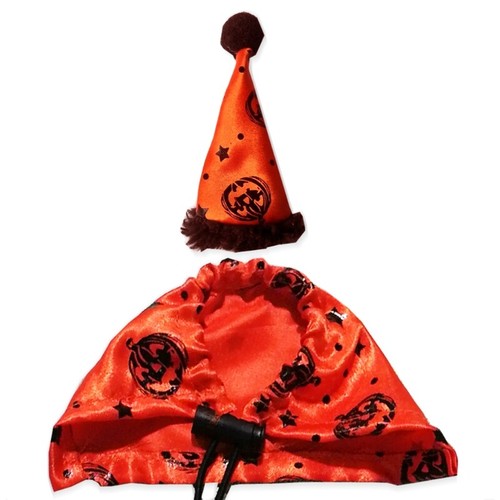 Bearded dragon halloween - bearded,