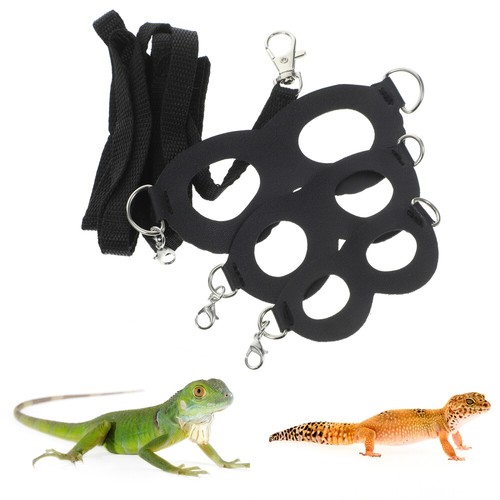 Bearded dragon leash and - dragon,