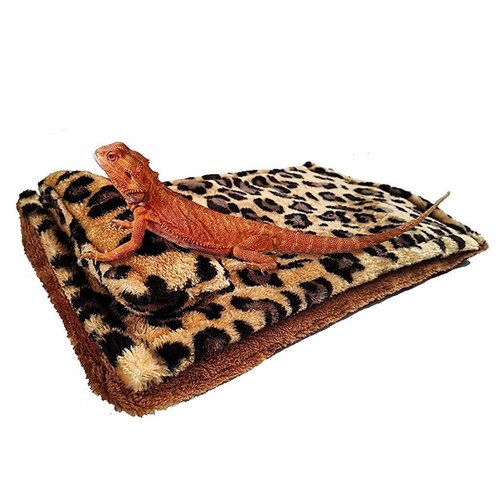 Bearded dragon bed with - bed, pillow