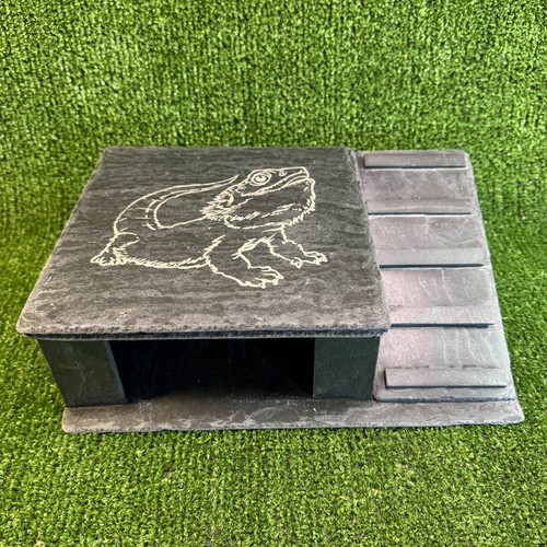 Bearded dragon laser - xl,
