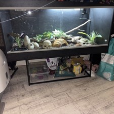 Vivexotic AAL Vivarium -